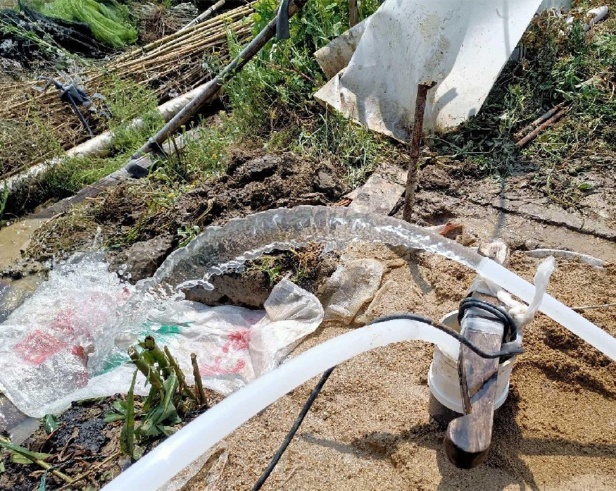 响水果园种树打井